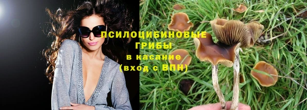 СК Майский
