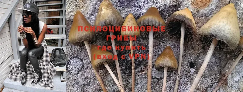 MEGA tor  Ладушкин  Галлюциногенные грибы Psilocybe  где купить  