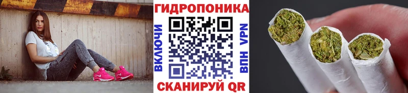 Канабис семена дарк нет как зайти Ладушкин